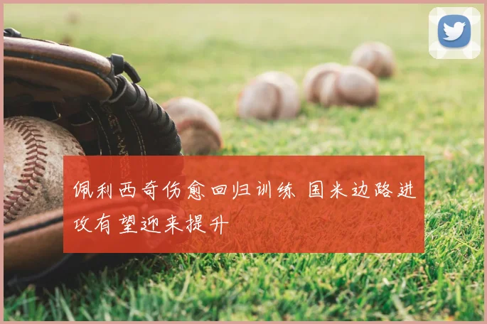 佩利西奇伤愈回归训练 国米边路进攻有望迎来提升