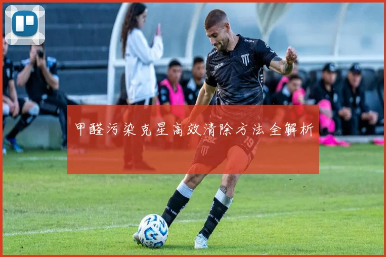 甲醛污染克星高效清除方法全解析