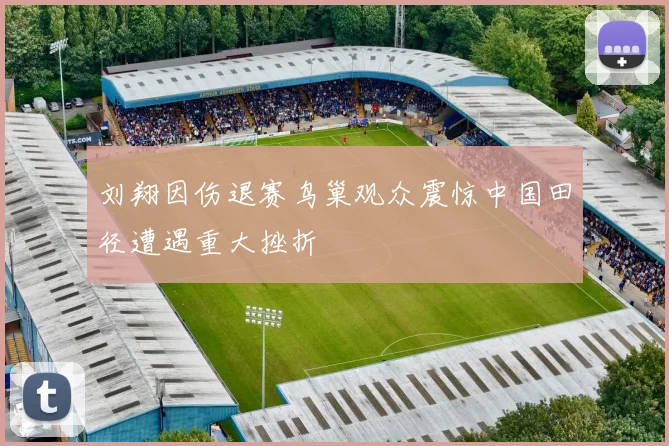 刘翔因伤退赛鸟巢观众震惊中国田径遭遇重大挫折