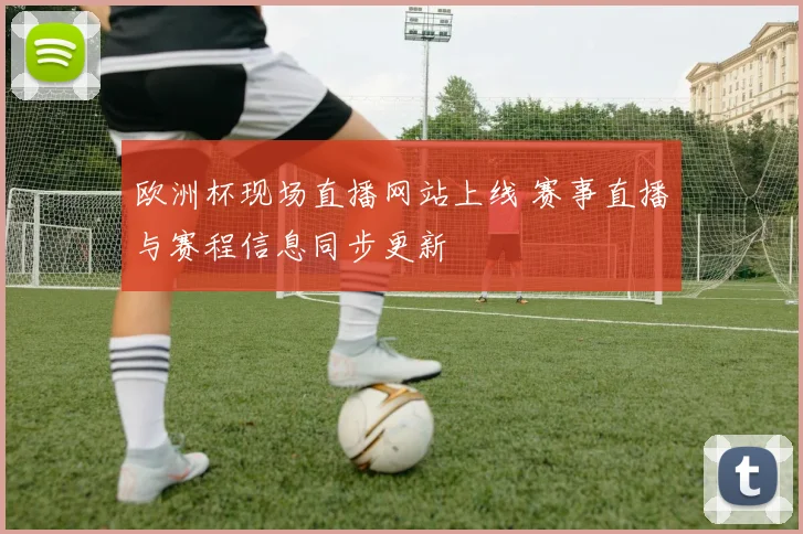 欧洲杯现场直播网站上线 赛事直播与赛程信息同步更新