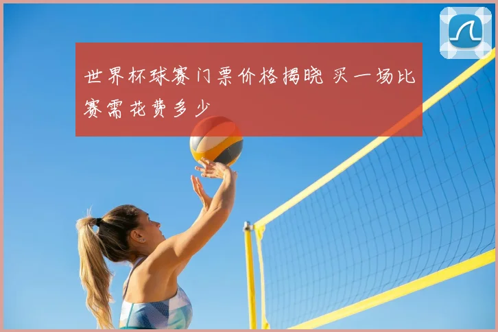 世界杯球赛门票价格揭晓 买一场比赛需花费多少