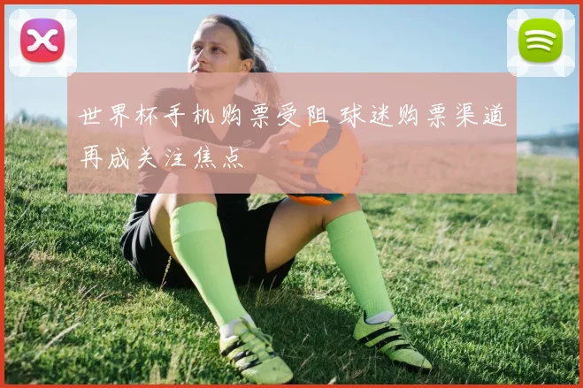 世界杯手机购票受阻 球迷购票渠道再成关注焦点