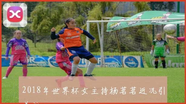 2018年世界杯女主持杨茗茗近况引关注