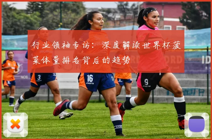 行业领袖专访：深度解读世界杯菠菜体量排名背后的趋势